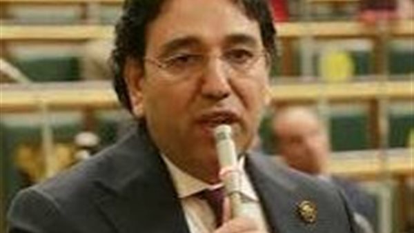 عضو بالنواب: المتحدة شريك أساسي للدولة في معركة الوعي المجتمعي