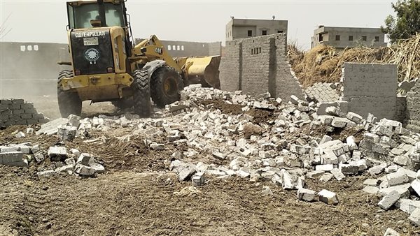 إزالة 116 حالة تعد على أراضي الدولة والزراعة ببني سويف