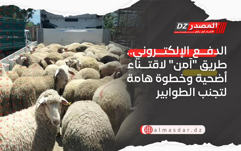 الدفع الإلكتروني.. طريق "آمن" لاقتناء أضحية وخطوة هامة لتجنب الطوابير