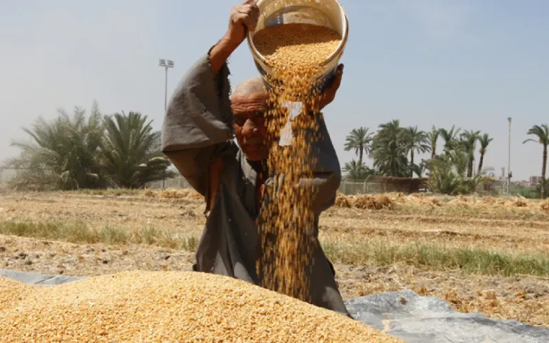 ارتفاع مؤشرات الأمن الغذائي في الأردن خلال 2024 مع تحسن الاكتفاء الذاتي