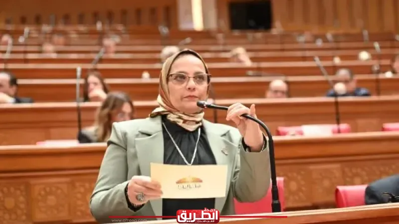 نجلاء العسيلي: دعوة الرئيس السيسي لوقف الحرب تعكس مسؤولية مصر تجاه أمن المنطقة