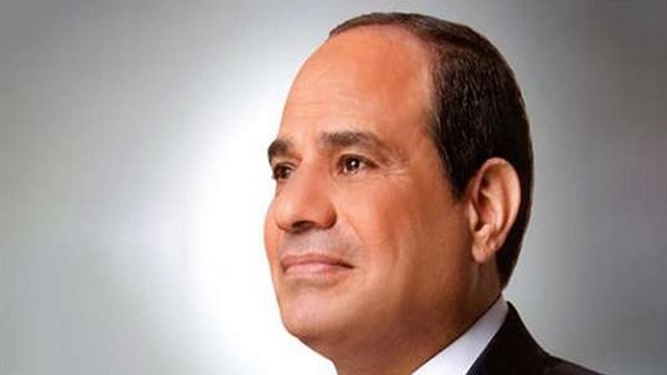 رئيس جامعة هيروشيما يشيد بالجهود المصرية في تطوير البرامج التعليمية