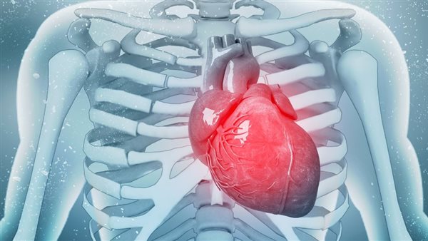 أعراض تدل على وجود مشكلة فى عضلة القلب