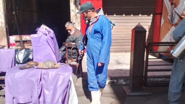 استمرار أعمال مكافحة ناقلات الأمراض بدمياط