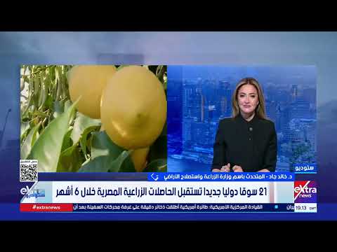 بعد فتح السوق الأفغاني أمام الليمون.. متحدث الزراعة: نعمل على تصدير البصل والخضروات والطماطم