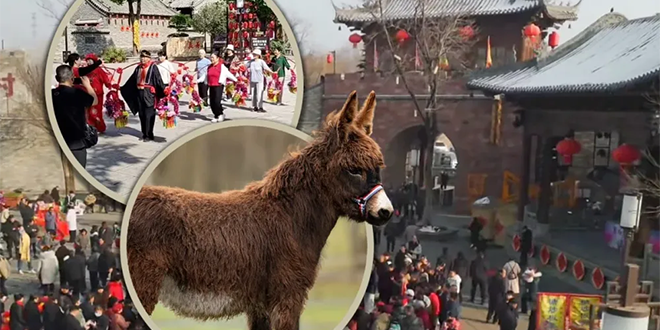 قرية صينية سكانها وحيواناتها نجوم تمثيل