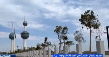 خبير: مصر ترفض استهداف دول الخليج وتدعم الأمن العربي
