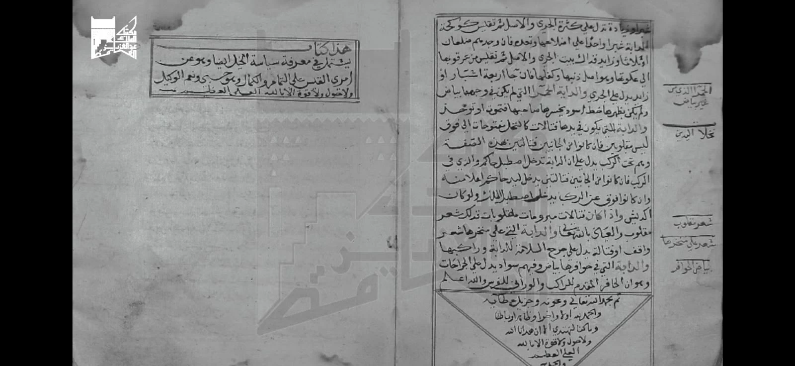 مخطوطة عمرها 333 عاماً تكشف أسرار الخيل العربية في مكتبة الملك عبدالعزيز العامة