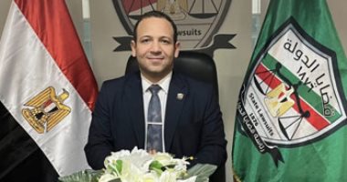 القانون وبناء السلام: الدبلوماسية المصرية الرشيدة طريقٌ إلى الاستقرار