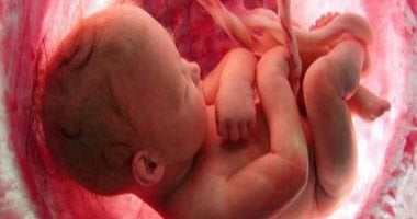 الساعة البيولوجية للجنين داخل الرحم تتزامن مع التوقيت المحلي