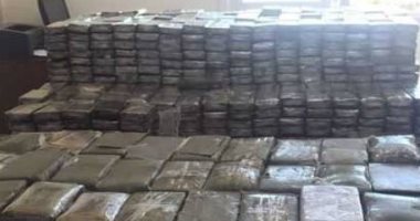 ضبط 1000 طربة حشيش بطريق وادى القمر بالإسكندرية.. وحبس المتهمين على ذمة التحقيق