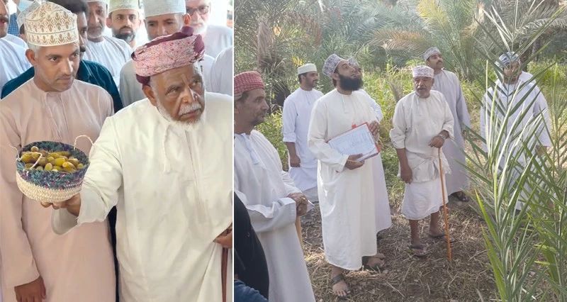 13 ريال سعر كيلو رطب النغال فـي «مسلمات».. و33 ريال الطناء فـي «بوة»