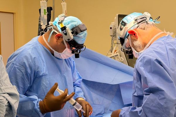 متبرعٌ مُتوفًّى دماغيًّا يمنح أربعة مرضى فرصةً جديدة للحياة