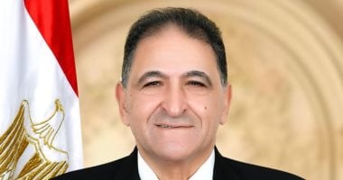 برلمانى: كلمة الرئيس السيسي في "يوم أفريقيا" وضعت رؤية متكاملة