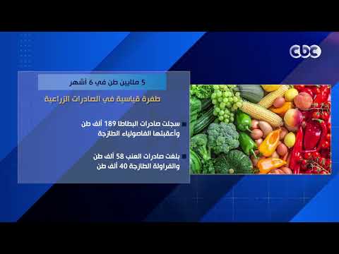 5 ملايين طن في 6 أشهر.. طفرة قياسية في الصادرات الزراعية