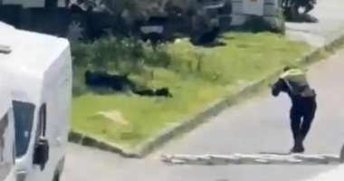 اللحظات الأولى لحادث إطلاق نار بالقرب من القنصلية الإسرائيلية في إسطنبول