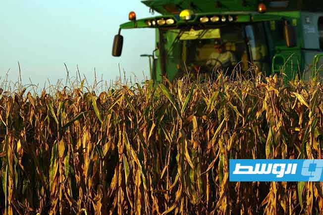«الفاو» تحذر: إغلاق مضيق هرمز ينذر بـ«صدمة زراعية غذائية»