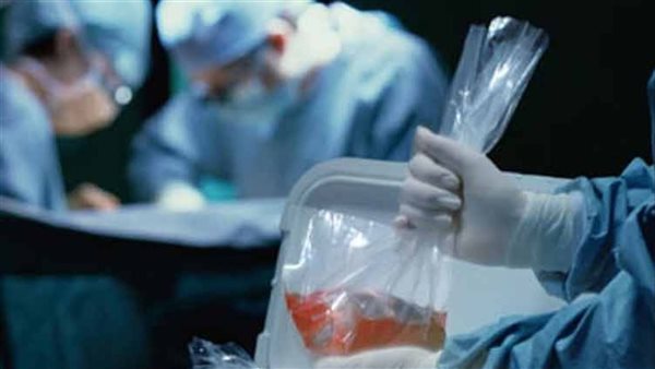 الدكتور محمود المتيني: التأخر في تفعيل قانون زراعة الأعضاء في مصر يرجع إلى مقاومة عاطفية وليست دينية