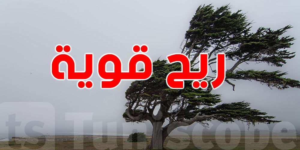 عاجل: رياح قوية متواصلة تضرب هذه الولايات… والإنذار البرتقالي متواصل