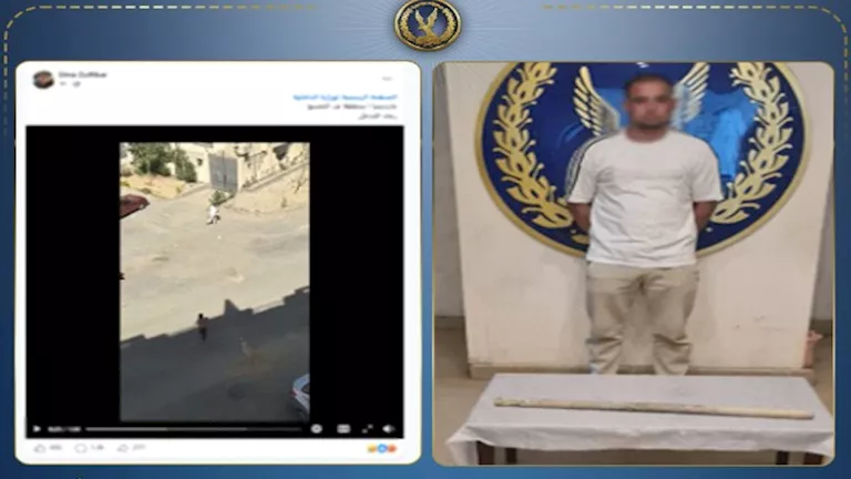 ضبط متهم بالتعدي على كلب ضال حتى نفوقه في القاهرة