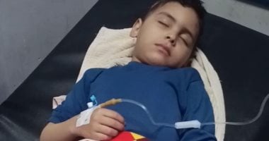 قطيع من الكلاب الضالة ينهشون جسد طفل فى دمنهور