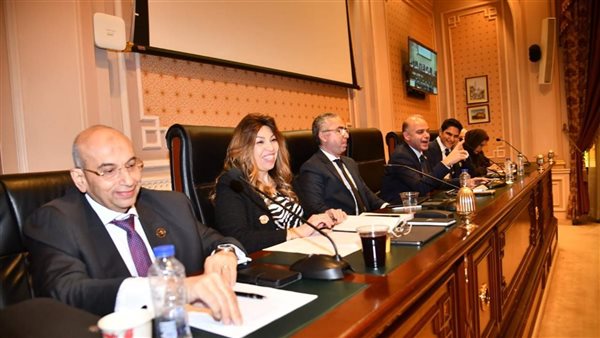توصية بمجلس الشيوخ لتفعيل نظام الشباك الواحد لدعم الاستثمار