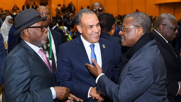 تفاصيل لقاء وزير الخارجية مع رئيس جمهورية أفريقيا الوسطى ورئيس وزراء الكاميرون