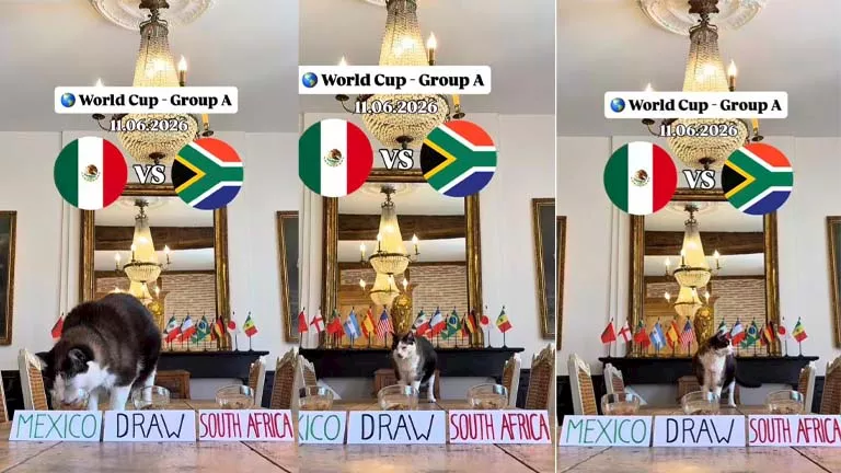 القط العراف يتوقع فوز منتخب المكسيك على جنوب أفريقيا في المباراة الاف