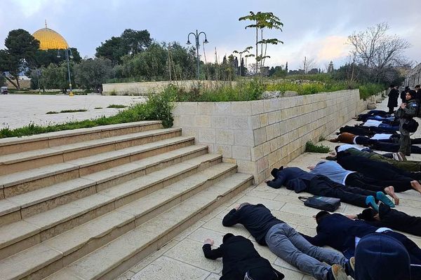 بحماية شرطة الاحتلال الإسرائيلي مستعمرون يقتحمون الأقصى لقاء "السجود الملحي"