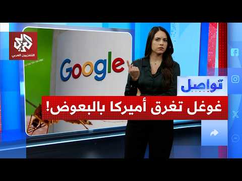 خطة غوغل لنشر 32 مليون بعوضة في أميركا لهدف غريب.. لماذا؟