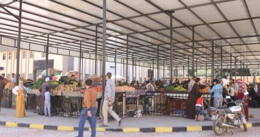 برنامج التنمية المحلية بصعيد مصر يقضي على الأسواق العشوائية