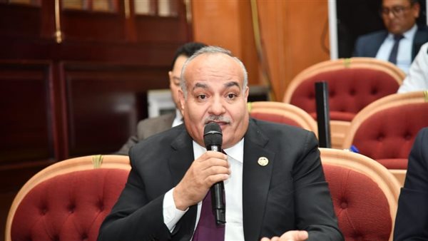 النائب محمد نوح: التعديل الوزاري يعكس حرص القيادة السياسية على رفع كفاءة الأداء الحكومي