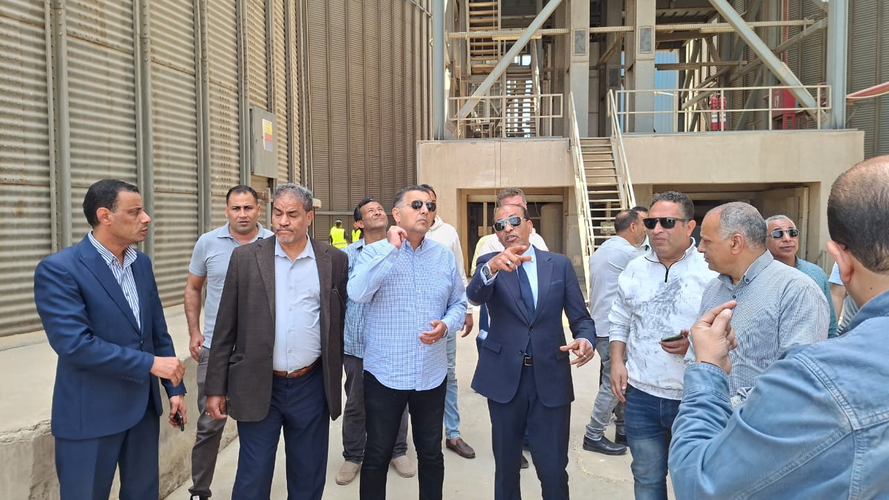 زيادة الإنتاج المحلي من القمح تسهم في خفض الاعتماد على الاستيراد