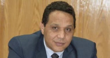 ولاء جاد الكريم: نقلة نوعية في تداول قضية الأعمال التجارية وحقوق الإنسان بمصر