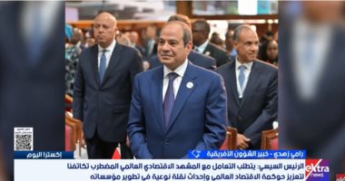 خبير: رؤية الرئيس السيسى فى قمة نيروبى تضع حلولا جذرية لأزمات قارة أفريقيا