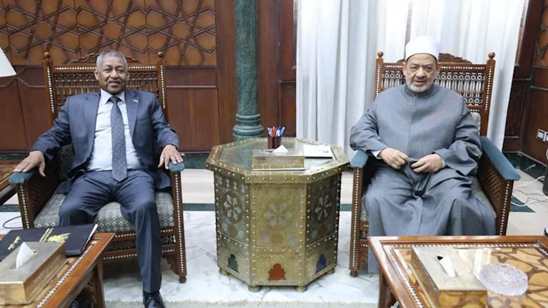 تفاصيل لقاء شيخ الأزهر والسفير السوداني