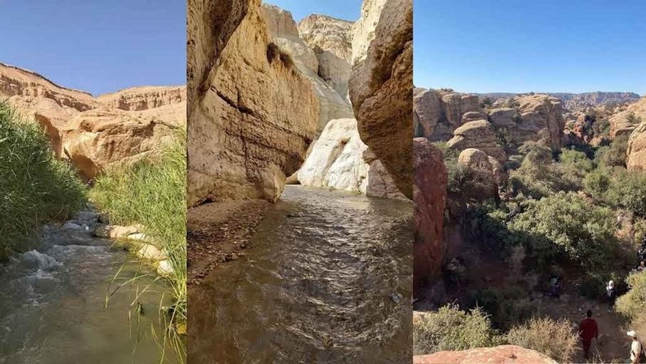 "أمطار نيسان" تستحضر الذاكرة الجمعية وتبث معاني الأمل