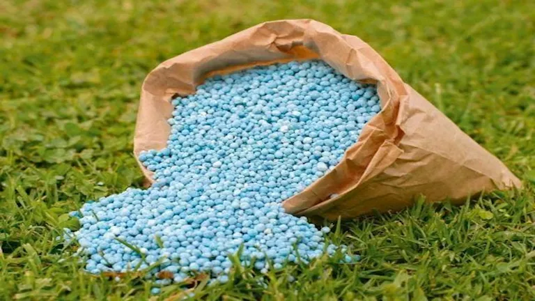 تراكم اليوريا والنترات في التربة بمصر يهدد جودة المحاصيل