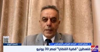 محلل فلسطيني: 30 يونيو عززت ثقل مصر في دعم القضية الفلسطينية