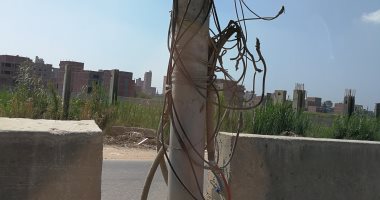 أثناء محاولته سرقة كابل.. إصابة شاب بصعق كهربائى فى الشرقية