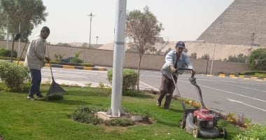رفع كفاءة المسطحات الخضراء بمحيط الأهرامات لتحسين المشهد الحضارى