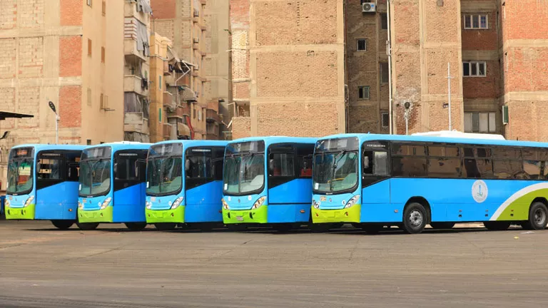 الإسكندرية تدفع بـ44 أتوبيسًا لخدمة جماهير مباراة مصر والأرجنتين