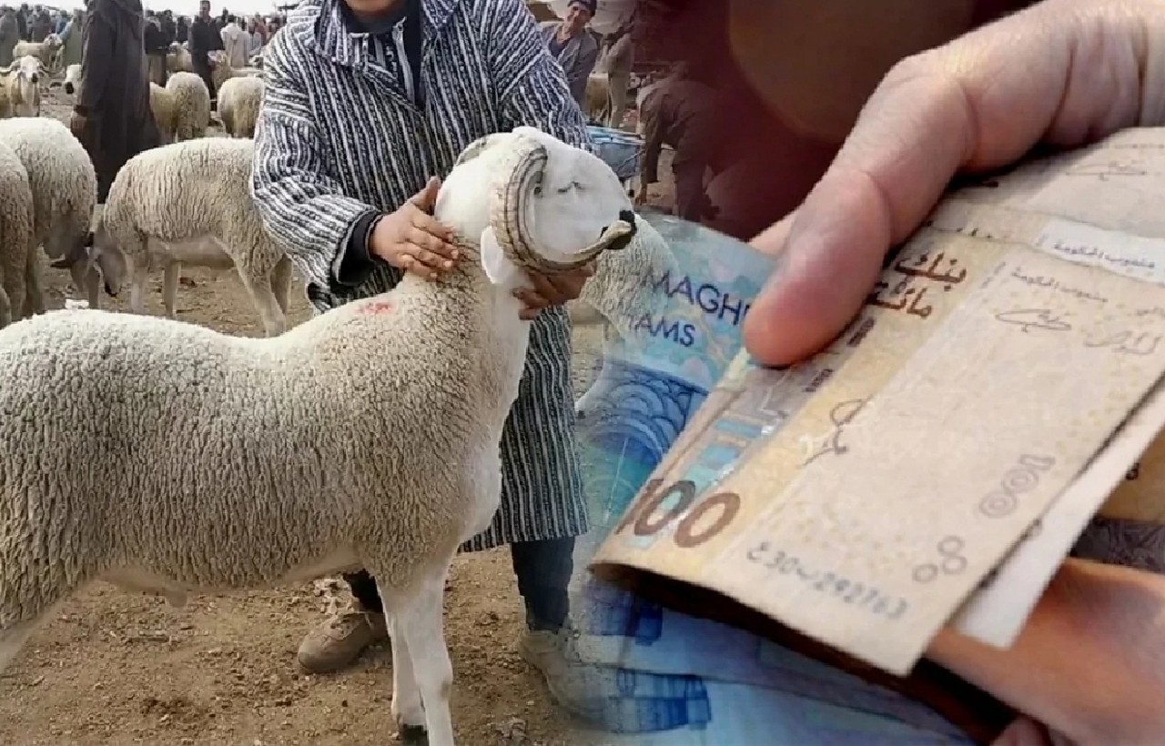 جمعيات المستهلك: سوق الأضاحي شهد خصاصا واضحا.. والتدخلات الحكومية المتأخرة لم تنعكس على استقرار الأسعار