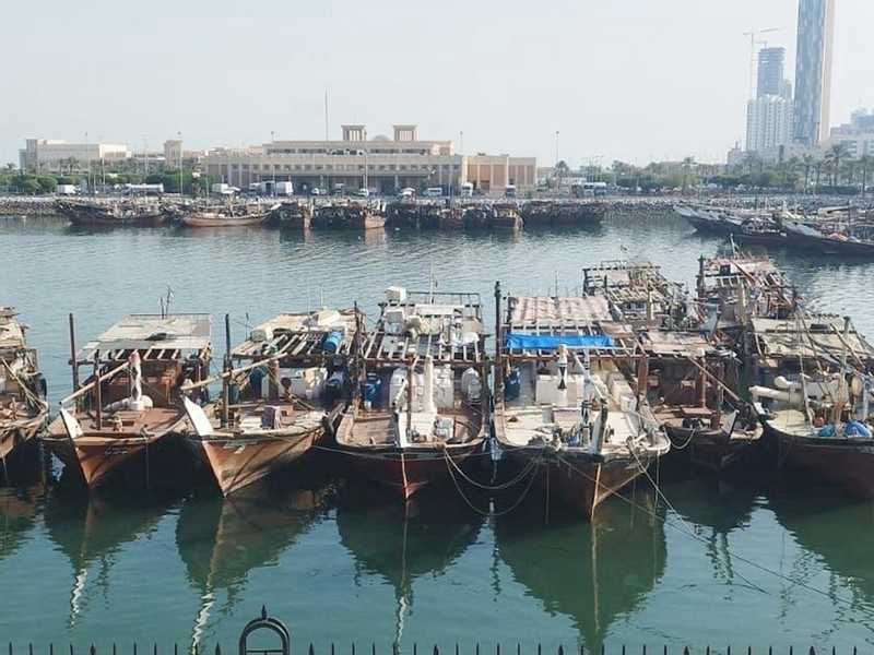 «البيئة»: السماح لقوارب صيد النزهة بالإبحار داخل «الجون» بدءاً من يوم غد