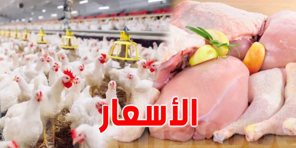 خبر يهم التوانسة: الدجاج ما يفوتش السعر هذا ابتداء من اليوم