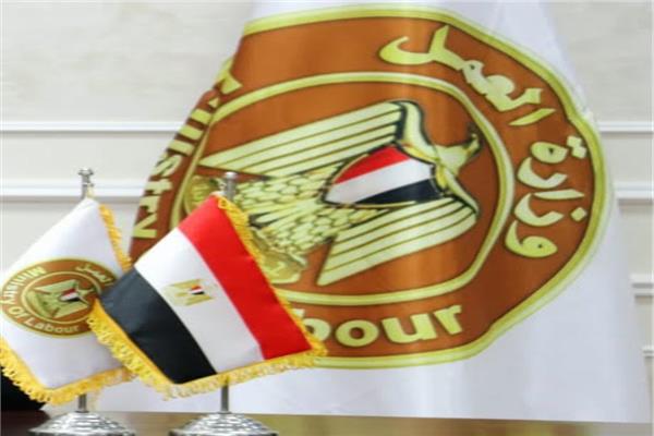 "العمل " تعلن عن 8 وظائف براتب يصل 13 ألف جنيه بالأقصر