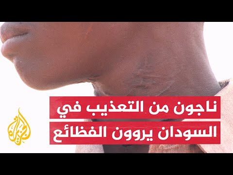 Living Testimonies.. Survivors Recount Atrocities of Torture and Enforced Disappearance by the Ra...