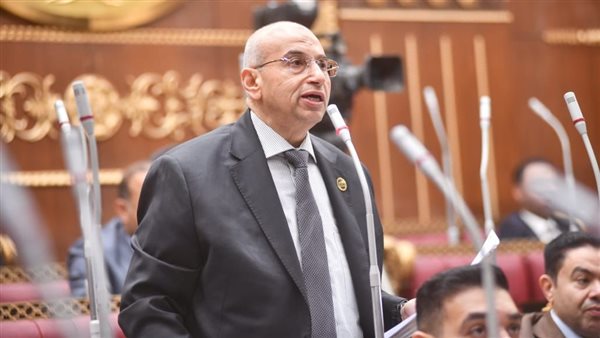 أشرف عبد الغني: تعديلات قانون الشركات "ثورة تصحيحية" تهدم جدار البيروقراطية