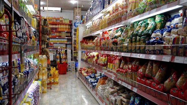 علاء عز: الدولة نجحت في تأمين السلع.. و1% خارجين عن القانون فقط|فيديو