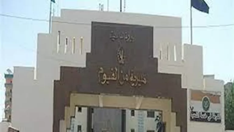 صرخات طفلة تنقذها من الاختطاف بسوق جردو في الفيوم